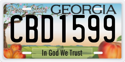 GA license plate CBD1599