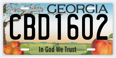 GA license plate CBD1602