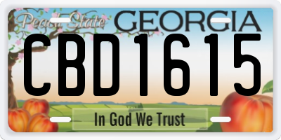 GA license plate CBD1615