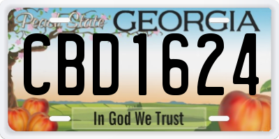 GA license plate CBD1624