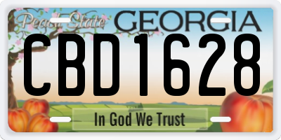 GA license plate CBD1628
