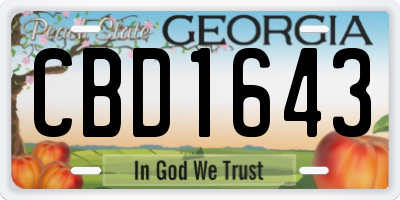 GA license plate CBD1643