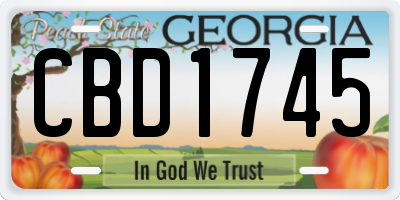 GA license plate CBD1745