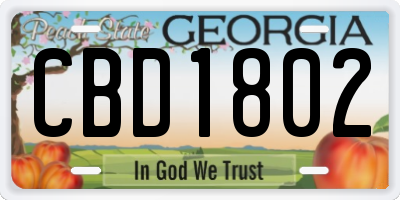 GA license plate CBD1802