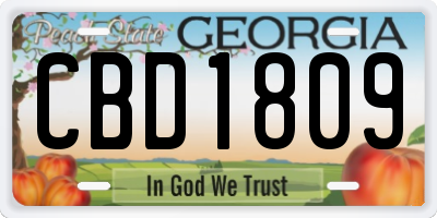 GA license plate CBD1809