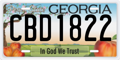 GA license plate CBD1822