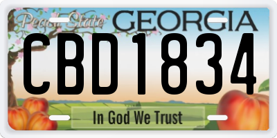 GA license plate CBD1834