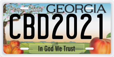 GA license plate CBD2021