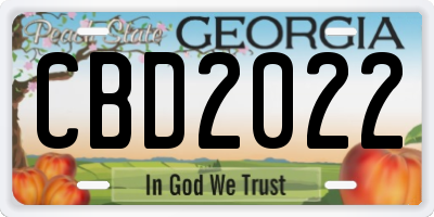 GA license plate CBD2022