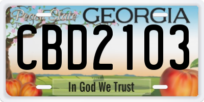 GA license plate CBD2103