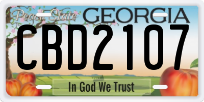 GA license plate CBD2107