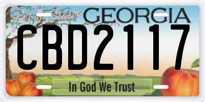 GA license plate CBD2117