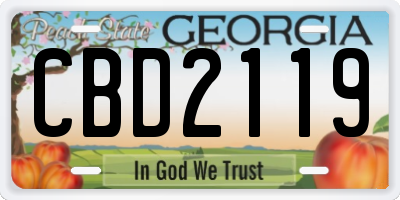 GA license plate CBD2119