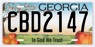 GA license plate CBD2147