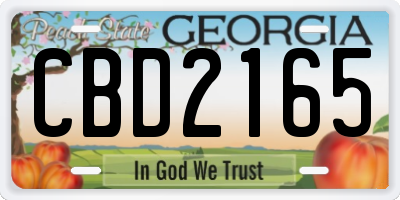 GA license plate CBD2165