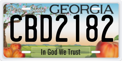 GA license plate CBD2182