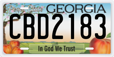 GA license plate CBD2183