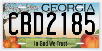 GA license plate CBD2185