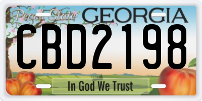 GA license plate CBD2198
