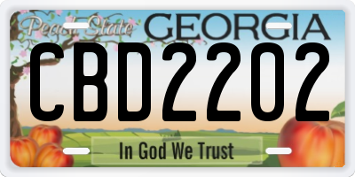 GA license plate CBD2202