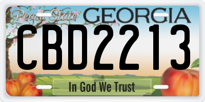 GA license plate CBD2213