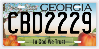 GA license plate CBD2229
