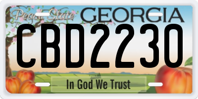 GA license plate CBD2230