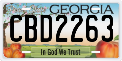 GA license plate CBD2263
