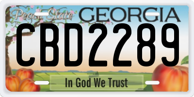 GA license plate CBD2289