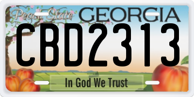 GA license plate CBD2313