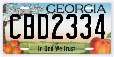 GA license plate CBD2334