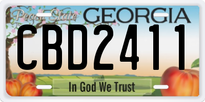 GA license plate CBD2411