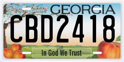 GA license plate CBD2418