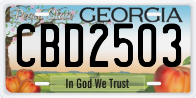 GA license plate CBD2503
