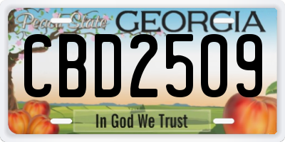 GA license plate CBD2509