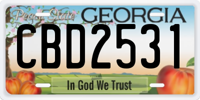 GA license plate CBD2531