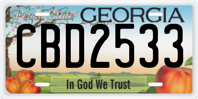 GA license plate CBD2533