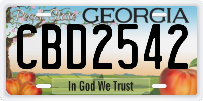 GA license plate CBD2542