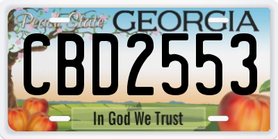 GA license plate CBD2553