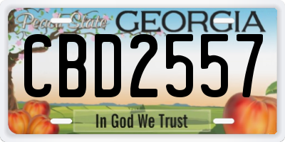 GA license plate CBD2557
