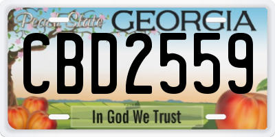 GA license plate CBD2559