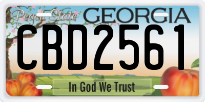 GA license plate CBD2561