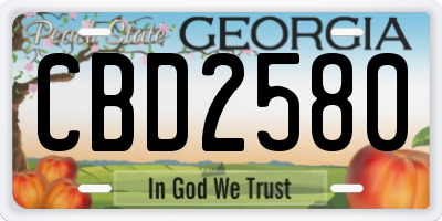 GA license plate CBD2580