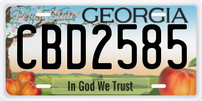 GA license plate CBD2585