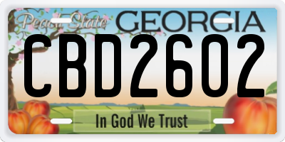 GA license plate CBD2602