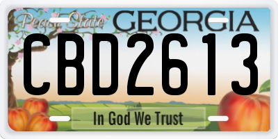 GA license plate CBD2613