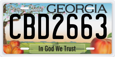 GA license plate CBD2663