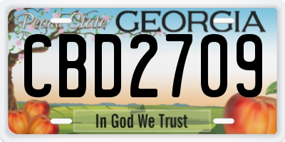 GA license plate CBD2709