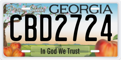 GA license plate CBD2724