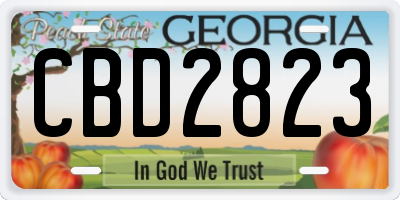 GA license plate CBD2823